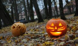 Moliūgų šventė Švėkšnoje