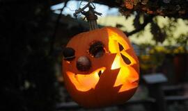 Moliūgų šventė Švėkšnoje