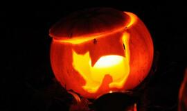 Moliūgų šventė Klaipėdoje