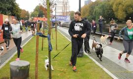 Bėgimas su šunimis Klaipėdoje