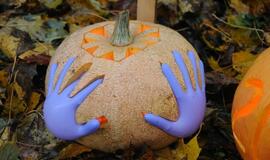 Moliūgų šventė Švėkšnoje