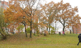 Ant užmirštų protėvių kapų