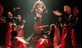 Kviečia flamenko šokio spektaklis „Fiesta: valgyk, melskis ir mylėk“