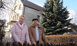 Miestą puoš tėvo ir dukros užauginta žaliaskarė