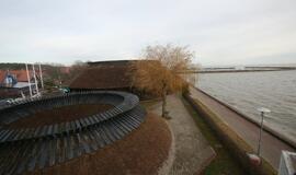 Neringa švenčia 55-ąjį gimtadienį