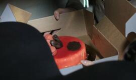 Reide – krepšinio žvaigždės ir tortai