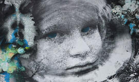 „Herkaus“ galerijoje - Kristinos Ancutaitės ir Linos Dūdaitės paroda