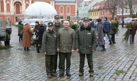 Klaipėdiečiams išdalintos eglių šakos