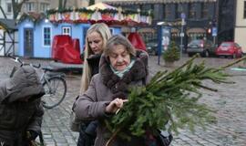 Klaipėdiečiams išdalintos eglių šakos