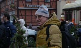 Klaipėdiečiams išdalintos eglių šakos