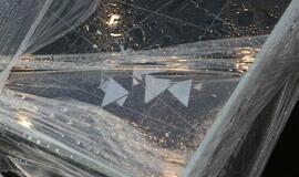 Klaipėdoje siautėjo vėjas