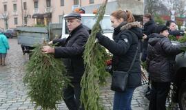 Klaipėdiečiams išdalintos eglių šakos