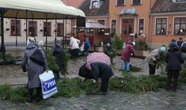 Klaipėdiečiams išdalintos eglių šakos