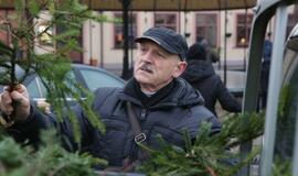 Klaipėdiečiams išdalintos eglių šakos