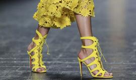 2017-ieji: madinga avalynė