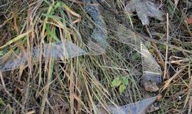 Ką ir kuo vilioja Klaipėdos Holivudas?