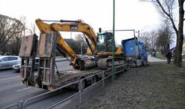 Vilkikas sumaitojo atitvarus