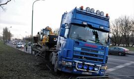 Vilkikas sumaitojo atitvarus