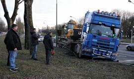 Vilkikas sumaitojo atitvarus