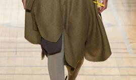 2017-ieji: madinga avalynė