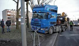 Vilkikas sumaitojo atitvarus