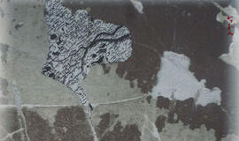 Baroti galerijoje - Vaidoto Janulio kūrybos paroda