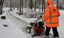 Kiemsargiai jaučiasi įveikę žiemą