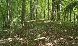 Pernai aptikti du piliakalniai bus saugomi