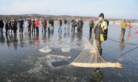 Stintapūkio šventė: nuo austrių iki traškančio ledo