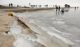 Stintapūkio šventė: nuo austrių iki traškančio ledo