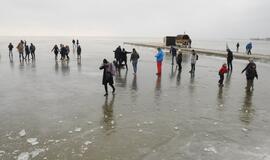 Stintapūkio šventė: nuo austrių iki traškančio ledo