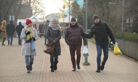 Stintapūkio šventė: nuo austrių iki traškančio ledo