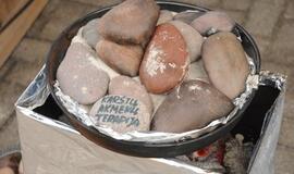 Stintapūkio šventė: nuo austrių iki traškančio ledo