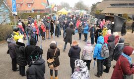 Stintapūkio šventė: nuo austrių iki traškančio ledo