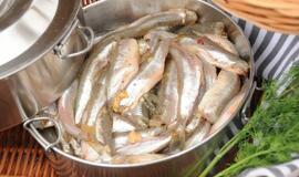 Stintapūkio šventė: nuo austrių iki traškančio ledo