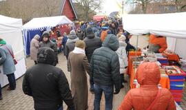 Stintapūkio šventė: nuo austrių iki traškančio ledo