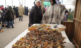 Stintapūkio šventė: nuo austrių iki traškančio ledo