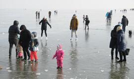 Stintapūkio šventė: nuo austrių iki traškančio ledo