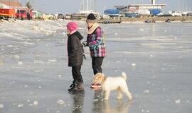 Stintapūkio šventė: nuo austrių iki traškančio ledo