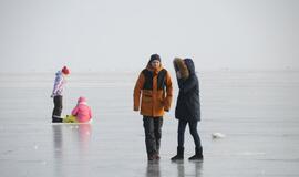 Stintapūkio šventė: nuo austrių iki traškančio ledo