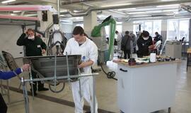 Automobilių kėbulų remontininkas 2017