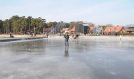 Stintapūkio šventė: nuo austrių iki traškančio ledo