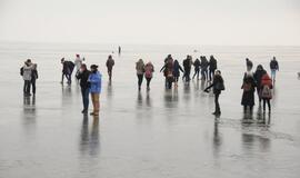 Stintapūkio šventė: nuo austrių iki traškančio ledo