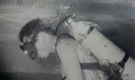 Kaip Lietuva įsigijo silpnųjų ginklą