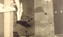 Kaip Lietuva įsigijo silpnųjų ginklą