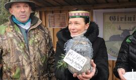 Stintapūkio šventė: nuo austrių iki traškančio ledo