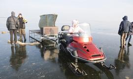 Stintapūkio šventė: nuo austrių iki traškančio ledo