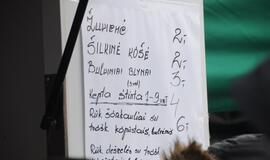 Stintapūkio šventė: nuo austrių iki traškančio ledo