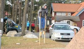 Stintapūkio šventė: nuo austrių iki traškančio ledo