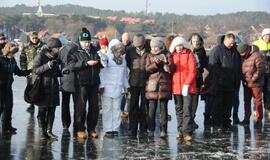 Stintapūkio šventė: nuo austrių iki traškančio ledo